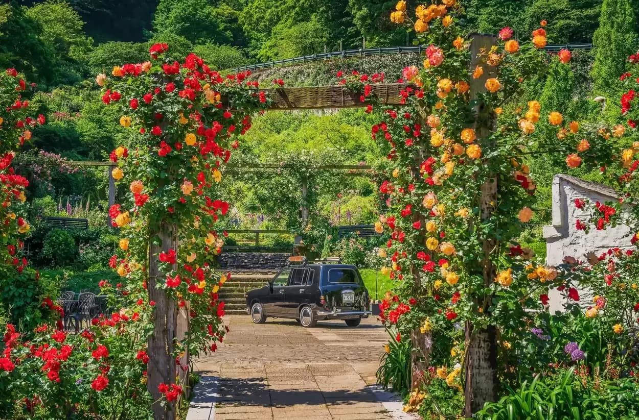 こんなの初めて！【熱海観光】360度バラまみれ♡1年で1番華やかな【ACAO FOREST】限定グルメも体験も「最高に贅沢」神イベント爆誕