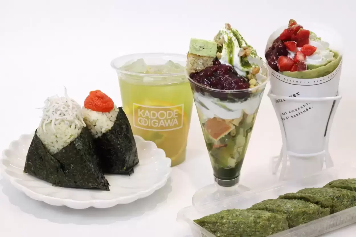 飲むだけなんて損してる！お茶を “審査” して “こねて” “愛でる”【茶フェス】島田のお茶愛が暴走気味（？）グルメも体験も緑一色